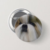 Shih Tzu Button (Vorne & Hinten)