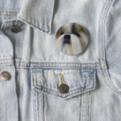 Shih Tzu Button (Beispiel)