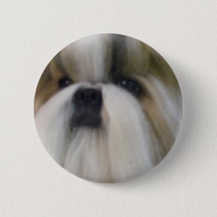 Shih Tzu Button