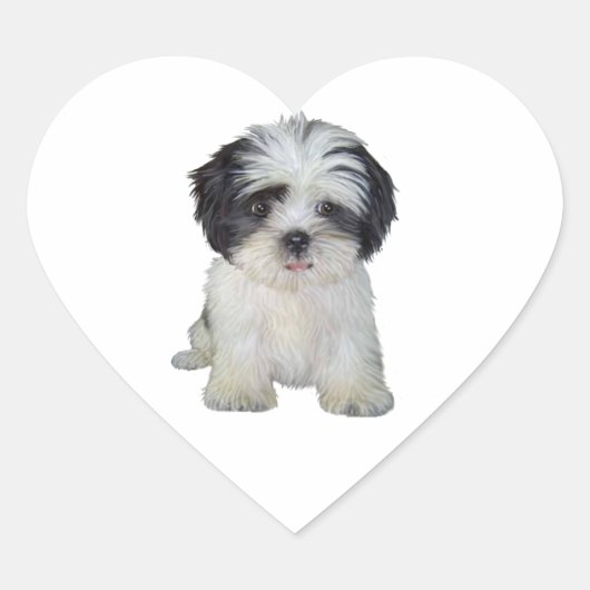 Shih Tzu (bw) - Welpe Herz-Aufkleber (Vorderseite)