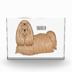 Shih tzu-Cartoon-Illustration Fotoblock