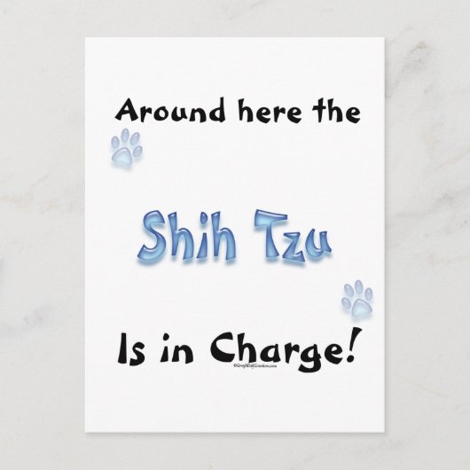 Shih Tzu Charge Postkarte (Vorderseite)