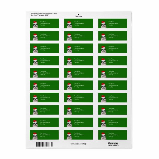 Shih Tzu Christmas (Vorne)