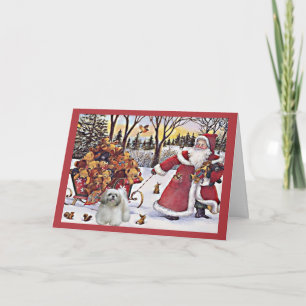 Shih Tzu Christmas Card Santa Bears In Sleigh Feiertagskarte