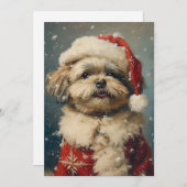 Shih Tzu Christmas Feiertagskarte (Vorne/Hinten)