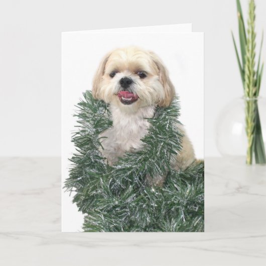Shih Tzu Christmas Feiertagskarte (Vorderseite)