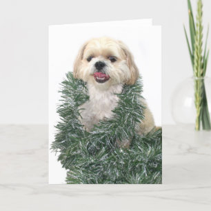 Shih Tzu Christmas Feiertagskarte