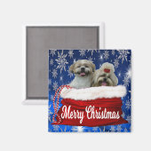 Shih tzu Christmas Magnet (Vorderseite/Rückseite)