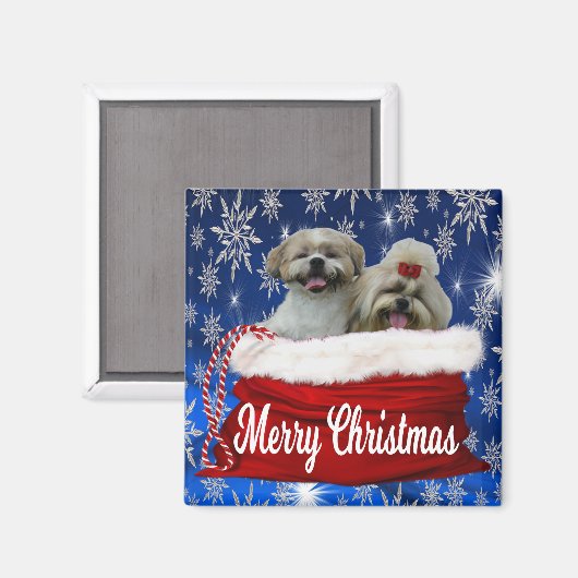 Shih tzu Christmas Magnet (Vorderseite/Rückseite)