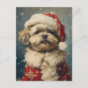 Shih Tzu Christmas Postkarte