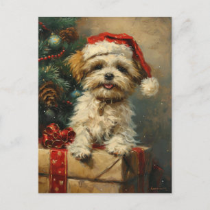 Shih Tzu Christmas Postkarte