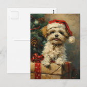Shih Tzu Christmas Postkarte (Vorne/Hinten)