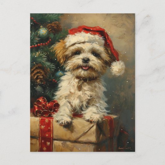 Shih Tzu Christmas Postkarte (Vorderseite)