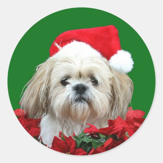 Shih Tzu Christmas Runder Aufkleber (Vorderseite)