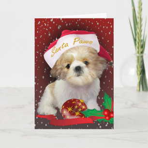 Shih Tzu Christmas Santa Paws Card Feiertagskarte
