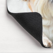 Shih Tzu Cooler Spaß niedlich Sonnenbrille Foto Mo Mousepad (Ecke)