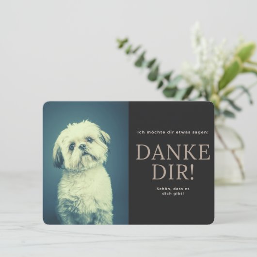Shih Tzu Dankeskarte (Stehend Vorderseite)
