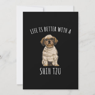 Shih Tzu  Das Leben ist besser mit einer schicken  Dankeskarte