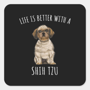 Shih Tzu Das Leben ist besser mit einer schicken Quadratischer Aufkleber