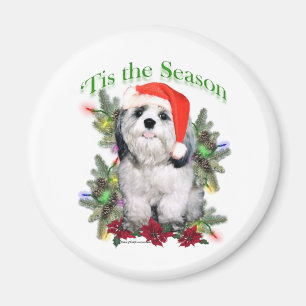 Shih Tzu 'Dies ist die Jahreszeit - Magnet
