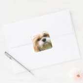 Shih Tzu Dog Aquarellmalerei Quadratischer Aufkleber (Umschlag)