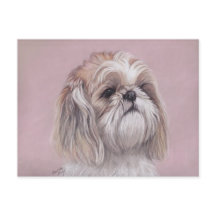 Shih tzu Dog Art Postcard