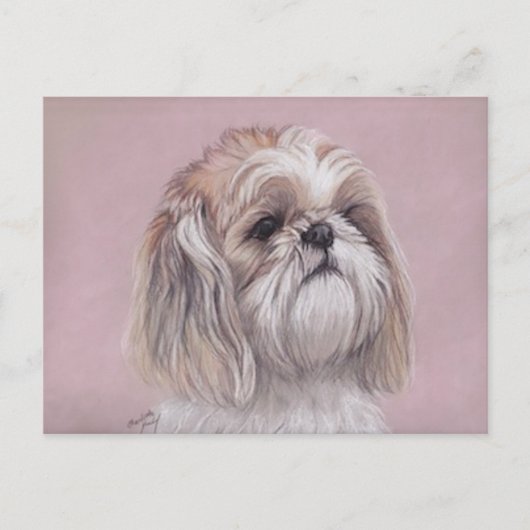 Shih tzu Dog Art Postcard Postkarte (Vorderseite)
