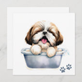 Shih Tzu Dog Card (Vorne/Hinten)