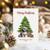 Shih Tzu Dog Familie Weihnachten