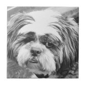 SHIH TZU DOG FLIESE (Vorderseite)