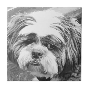 SHIH TZU DOG FLIESE