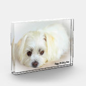 Shih Tzu Dog Fotoblock (Links)