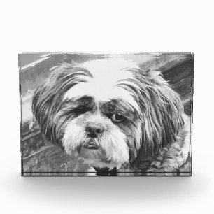 SHIH TZU DOG FOTOBLOCK