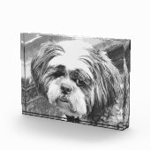 SHIH TZU DOG FOTOBLOCK (Rechts)