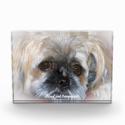 Shih Tzu Dog. Fotoblock (Vorderseite)