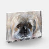 Shih Tzu Dog. Fotoblock (Links)