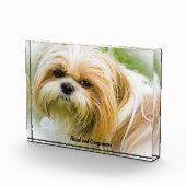Shih Tzu Dog. Fotoblock (Rechts)