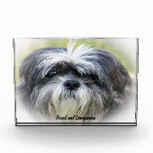 Shih Tzu Dog. Fotoblock (Vorderseite)