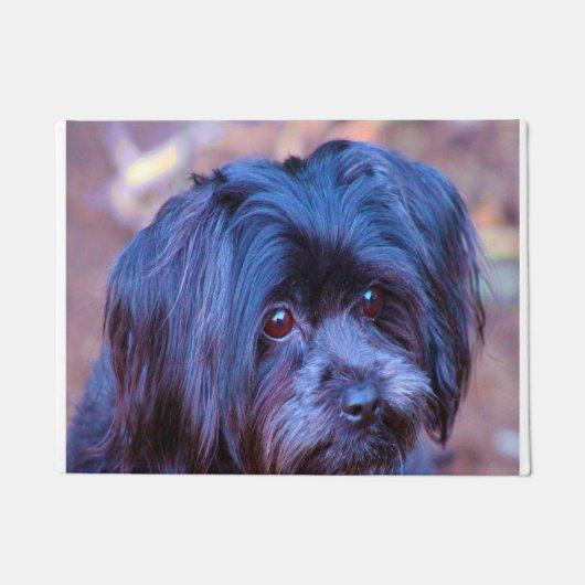 Shih Tzu Dog. Fußmatte (Vorderseite)