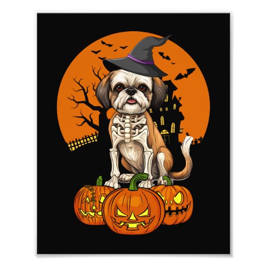 Shih Tzu Dog Halloween Fotodruck (Vorne)