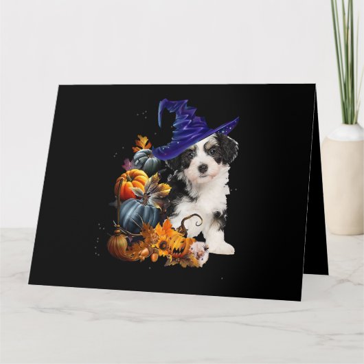 Shih Tzu Dog Hexe und Pumpkins Halloween Thanksgi Karte (Vorderseite)