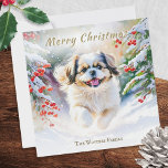 Shih Tzu Dog im Winter Schnee Frohe Weihnachten<br><div class="desc">Diese hübsche Weihnachtskarte fotografiert einen niedlichen Shih Tzu Hund, der durch den Winterschnee mit einem späten Nachmittagshimmel, roten Beeren und immergrünen Bäumen läuft. Die Abbildung ist in einem attraktiven Aquarellstil gehalten. Oben ist der Gruß "Frohe Weihnachten", während der Text unten mit Ihrem Namen oder anderen Worten personalisiert werden kann. Die...</div>