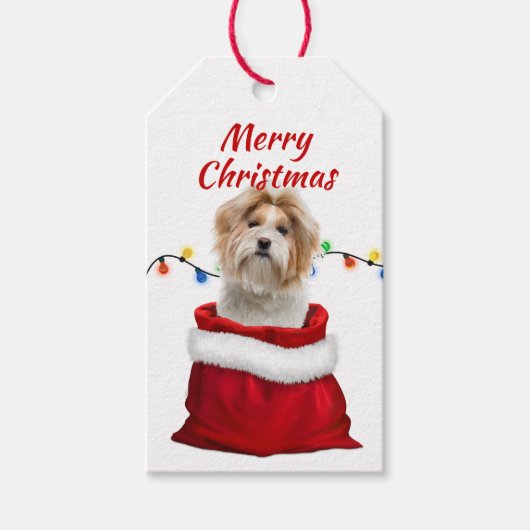 Shih Tzu Dog in Santa Bag Geschenkanhänger (Vorderseite)