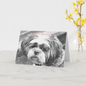 SHIH TZU DOG KARTE (Gelbe Blume)