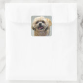Shih Tzu Dog lächeln Quadratischer Aufkleber (Tasche)