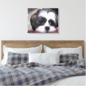 Shih Tzu Dog Leinwanddruck (Insitu (Schlafzimmer))