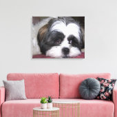 Shih Tzu Dog Leinwanddruck (Insitu (Wohnzimmer))