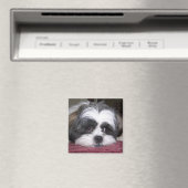 Shih Tzu Dog Magnet (In Situ (Geschirrspüler))