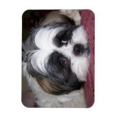 Shih Tzu Dog Magnet (Vertikal)
