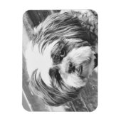 SHIH TZU DOG  MAGNET (Vertikal)
